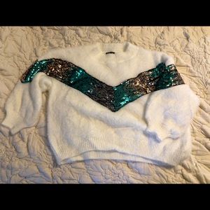 EUC Sequin Crop Sweater